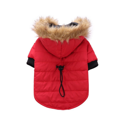 Winter clothing for pets