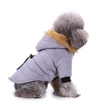 Winter clothing for pets