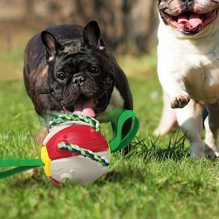 Interactive Dog Football Soccer Ball With Tabs Inflated Training Toy Outdoor Border Collie Balls Pet Products